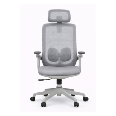 Kiwi Ergonomic Mesh Office Chair
